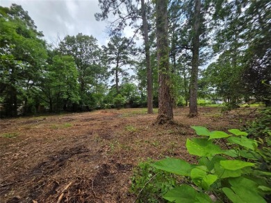 Lake Lot For Sale in Chandler, Texas