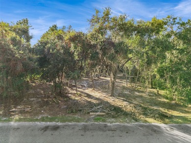 Lake Griffin Lot For Sale in Leesburg Florida