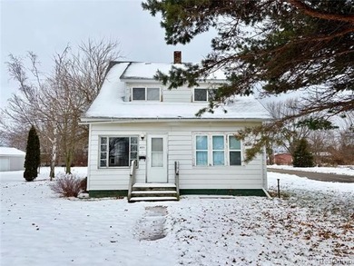 Lake Huron - Huron County Home For Sale in Harbor Beach Michigan