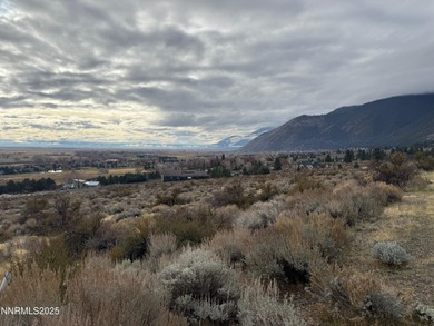 Lake Acreage Active Under Contract in Genoa, Nevada