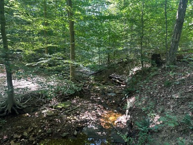 (private lake, pond, creek) Acreage For Sale in Waverly Ohio