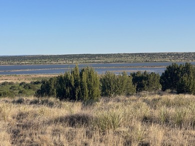 Lago Vista Ranch presents a rare opportunity to own a versatile - photo 11