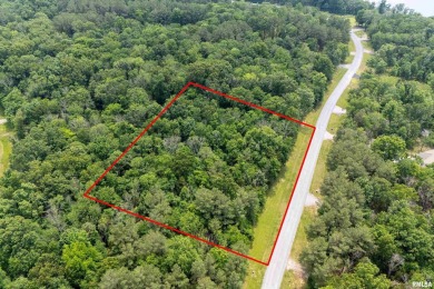 Lake Lot For Sale in Goreville, Illinois
