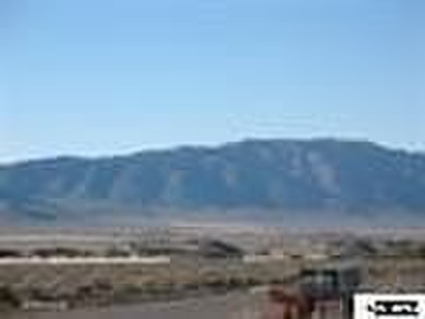 Escape to your own private mountain paradise with this expansive - photo 4