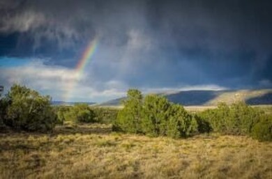Lago Vista Ranch presents a rare opportunity to own a versatile - photo 16
