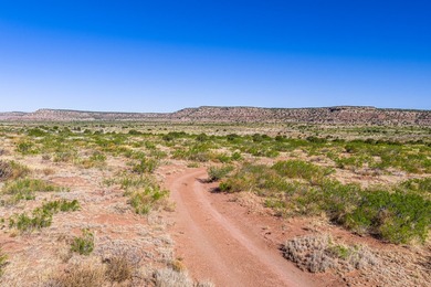 Lago Vista Ranch presents a rare opportunity to own a versatile - photo 20