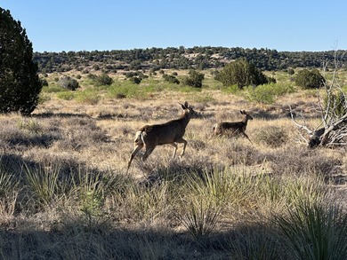 Lago Vista Ranch presents a rare opportunity to own a versatile - photo 23
