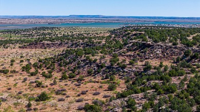 Lago Vista Ranch presents a rare opportunity to own a versatile - photo 25