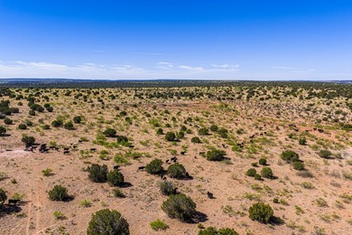 Lago Vista Ranch presents a rare opportunity to own a versatile - photo 27