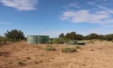 Lago Vista Ranch presents a rare opportunity to own a versatile - photo 31