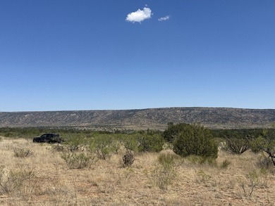 Lago Vista Ranch presents a rare opportunity to own a versatile - photo 32