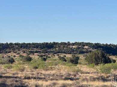 Lago Vista Ranch presents a rare opportunity to own a versatile - photo 35