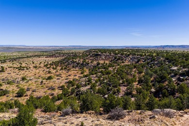 Lago Vista Ranch presents a rare opportunity to own a versatile - photo 36