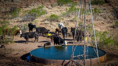 Lago Vista Ranch presents a rare opportunity to own a versatile - photo 42