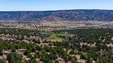 Lago Vista Ranch presents a rare opportunity to own a versatile - photo 47