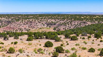 Lago Vista Ranch presents a rare opportunity to own a versatile - photo 48