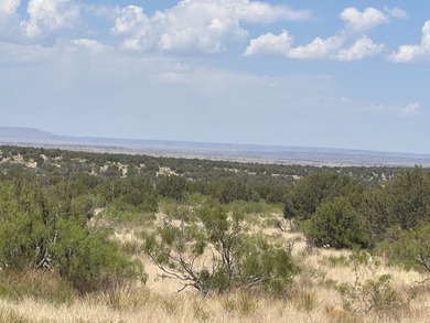 Lago Vista Ranch presents a rare opportunity to own a versatile - photo 49