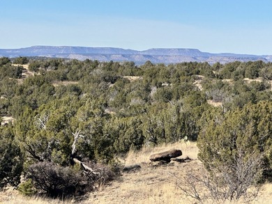 Lago Vista Ranch presents a rare opportunity to own a versatile - photo 50