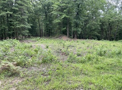 Lake Acreage For Sale in Avinger, Texas