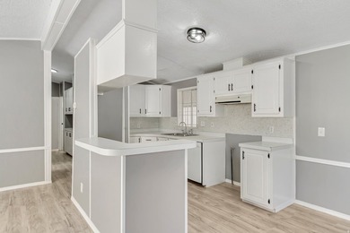 Beautifully fully remodeled double-wide mobile home in a highly - photo 6