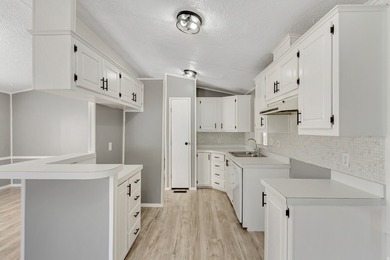 Beautifully fully remodeled double-wide mobile home in a highly - photo 7