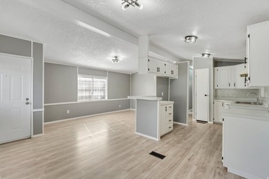 Beautifully fully remodeled double-wide mobile home in a highly - photo 9