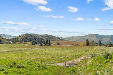 This cleared vacant land parcel in Manson presents an excellent - photo 11