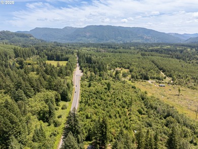 Lake Merwin Acreage For Sale in Ariel Washington