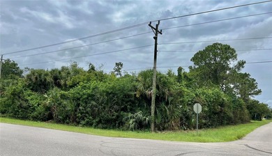 Lehigh Acres Area Lot For Sale in Lehigh Acres Florida