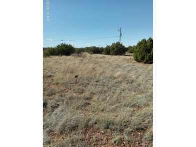 Lake Lot For Sale in Show Low, Arizona