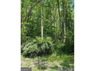 BEAUTIFUL 1.29 ACRE LOT JUST MINUTES FROM DOWNTOWN BLUE RIDGE - photo 1