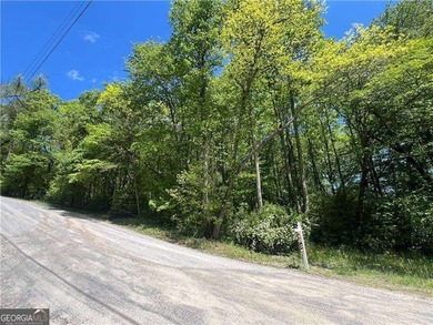 BEAUTIFUL 1.29 ACRE LOT JUST MINUTES FROM DOWNTOWN BLUE RIDGE - photo 2