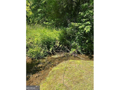 BEAUTIFUL 1.29 ACRE LOT JUST MINUTES FROM DOWNTOWN BLUE RIDGE - photo 3