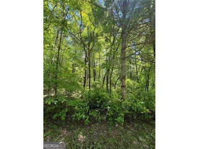 BEAUTIFUL 1.29 ACRE LOT JUST MINUTES FROM DOWNTOWN BLUE RIDGE - photo 4