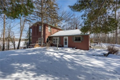 Lake Home For Sale in Hackensack, Minnesota