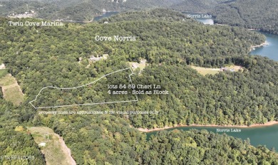 Welcome to your own Enchanted Forest on Norris Lake! - Lake Acreage For Sale in Caryville, Tennessee