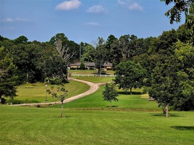Lake Home For Sale in Ben Wheeler, Texas
