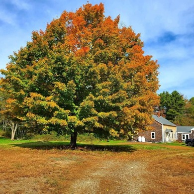 Entry only listing, Text seller directly for all showings - photo 6