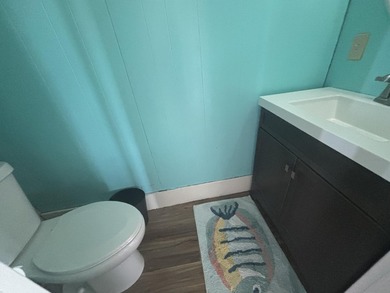 This four-bedroom home is situated across the street from open - photo 22