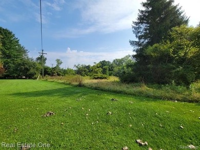 Otter Lake - Lapeer County Lot For Sale in Otter Lake Michigan