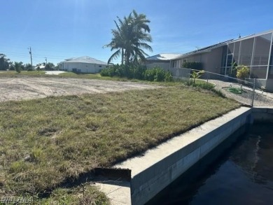 This corner, overside gulf access lot, has a new seawall - photo 3