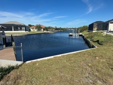 This corner, overside gulf access lot, has a new seawall - photo 4