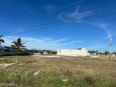 This corner, overside gulf access lot, has a new seawall - photo 5