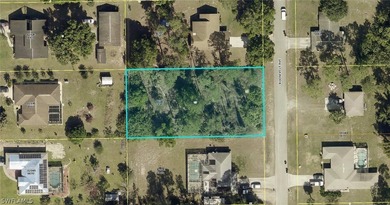 Lehigh Acres Area Lot For Sale in Lehigh Acres Florida