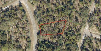 Lake Weir Lot For Sale in Ocklawaha Florida