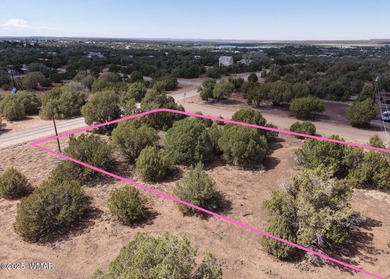  Lot For Sale in Show Low Arizona