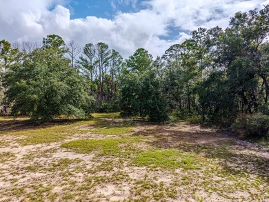 Charming old Florida cracker-style home on 4.2 acres in - photo 11