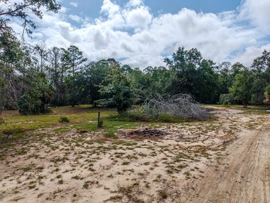 Charming old Florida cracker-style home on 4.2 acres in - photo 12