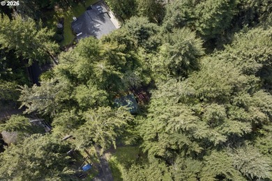 Situated between Woahink and Siltcoos Lakes, this wooded 1 - photo 14