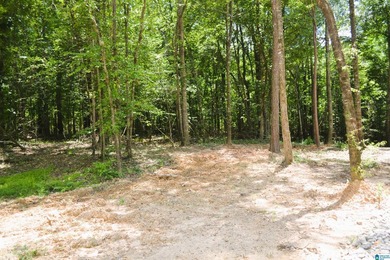 Approximately 3 acres on the North River in The Retreat at - photo 2